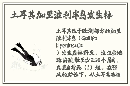 八重神子去内奖励旅行者免费